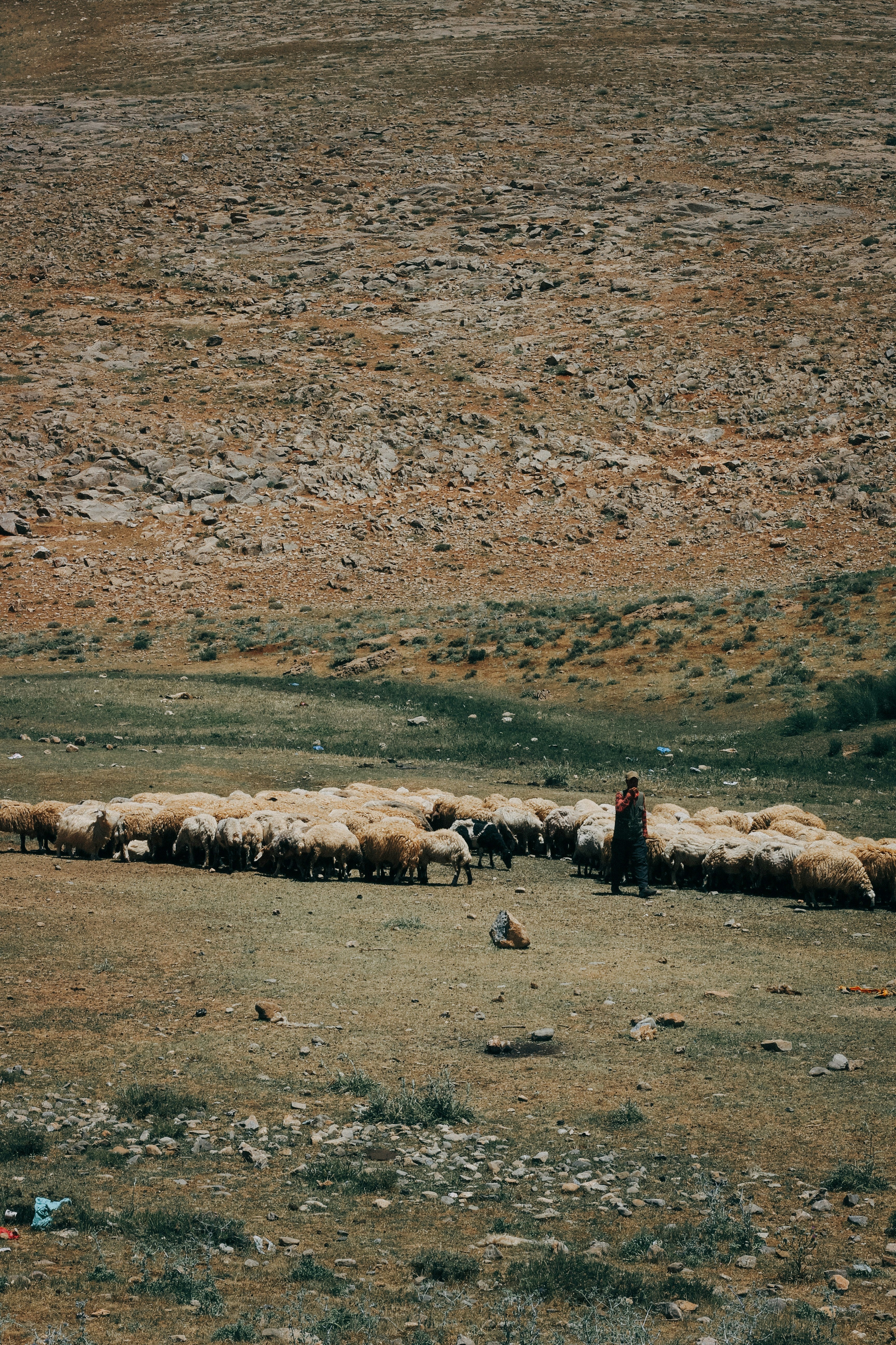 huma-h-yardim-uzLpW11iEnE-unsplash.jpg